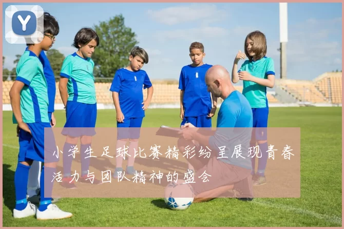 小学生足球比赛精彩纷呈展现青春活力与团队精神的盛会