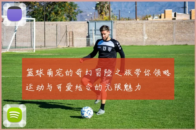 篮球萌宠的奇幻冒险之旅带你领略运动与可爱结合的无限魅力