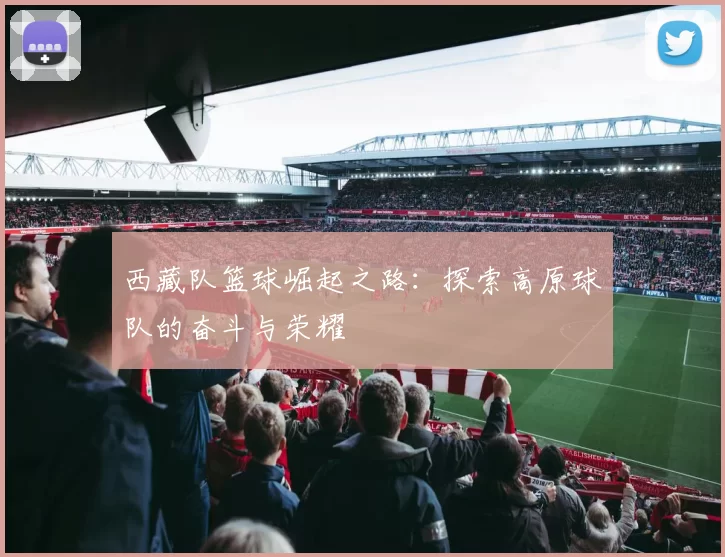 西藏队篮球崛起之路：探索高原球队的奋斗与荣耀